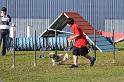 Bild 141